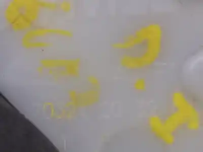 Peça sobressalente para automóvel em segunda mão  por TOYOTA YARIS  Referências OEM IAM T43 11140  