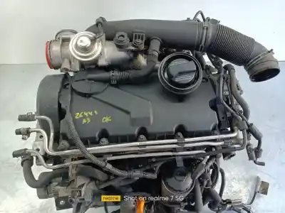 Pezzo di ricambio per auto di seconda mano MOTORE COMPLETO per AUDI A3 (8P) 1.9 TDI Ambiente Riferimenti OEM IAM BKC  