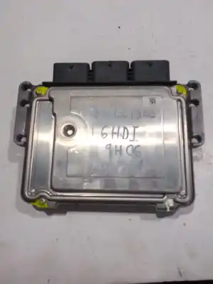 Pezzo di ricambio per auto di seconda mano centralina pompa iniezione per citroen c-elysée (11.2012->) 1.6 exclusive [1.6 ltr. - 68 kw hdi fap] riferimenti oem iam 0281019819  