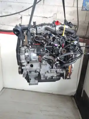 Pezzo di ricambio per auto di seconda mano motore completo per ford focus i (daw, dbw) 1.8 tdci riferimenti oem iam ffda  