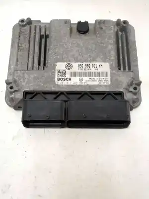 Peça sobressalente para automóvel em segunda mão centralina da bomba de injeção por volkswagen golf v (1k1) 1.9 tdi referências oem iam 03g906021kh