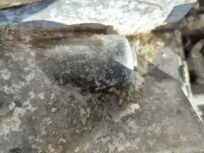 Pezzo di ricambio per auto di seconda mano riduttore per citroen c8 2.2 hdi fap cat (4hw) riferimenti oem iam 20mb09 55203055c 9431366021  