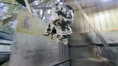 Pezzo di ricambio per auto di seconda mano riduttore per bmw 3 (e46) 320 i riferimenti oem iam 81229407558  