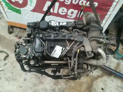 İkinci el araba yedek parçası komple motor için ford focus berlina (cap) ambiente (d) oem iam referansları g8da  