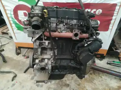 İkinci el araba yedek parçası komple motor için ford focus berlina (cap) ambiente (d) oem iam referansları g8da  