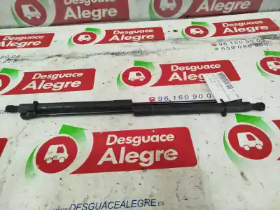 Pezzo di ricambio per auto di seconda mano ammortizzatori baule / porte per citroen c3 exclusive riferimenti oem iam 9683733980  