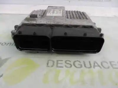 Pezzo di ricambio per auto di seconda mano centralina motore per fiat doblo monospace (119_, 223_) 1.3 jtd riferimenti oem iam 51796244 7160008603 mjd6f3d4