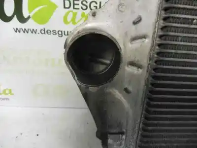 Pezzo di ricambio per auto di seconda mano intercooler per renault laguna ii (bg0) privilege riferimenti oem iam 8200075810  