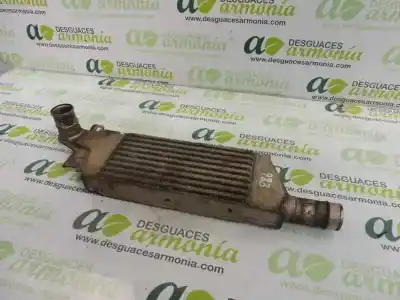 Pezzo di ricambio per auto di seconda mano intercooler per opel combo tour riferimenti oem iam 93177425  