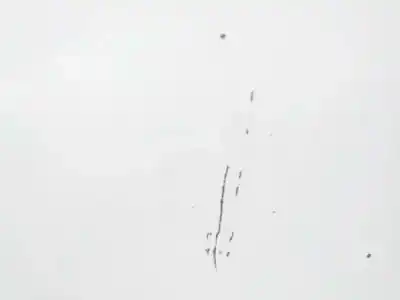 Peça sobressalente para automóvel em segunda mão capot por toyota verso active referências oem iam 533010f020  