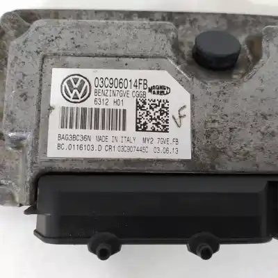 Second-hand car spare part ecu engine control for seat ibiza (6j5) 1.4 16v oem iam references 03c906014fb  03c907445c