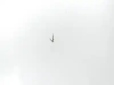 İkinci el araba yedek parçası arka sol kapi için kia optima optima (2015 -2020) oem iam referansları 77003d4010  