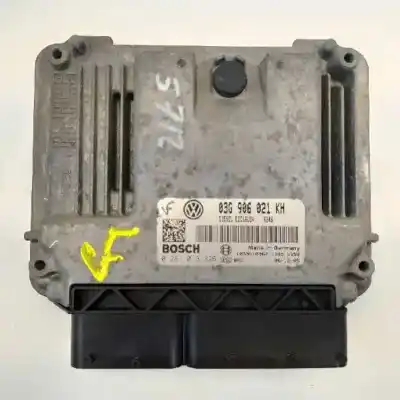 Автозапчастина б/у ебу контролер двигуна для volkswagen jetta (1k2) 1.9 tdi посилання на oem iam 03g906021kh