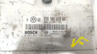 Second-hand car spare part ecu engine control for seat leon (1m1) 1.9 tdi oem iam references 038906019kg 0281011193 