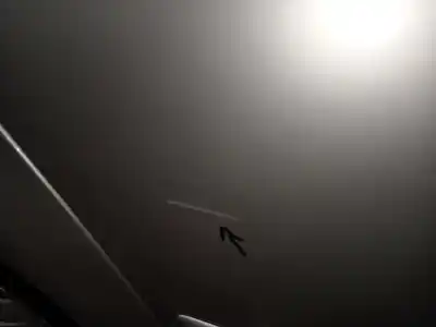 Second-hand car spare part rear right door for audi a4 b7 (8ec) 2.0 tdi oem iam references   