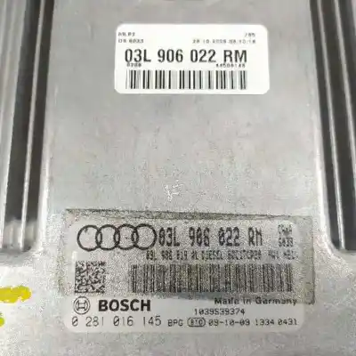 Автозапчасти б/у блок управления двигателем за audi a4 avant (8k5) (2008) básico quattro ссылки oem iam 03l906022rm  0281016145