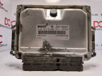 İkinci el araba yedek parçası  için RENAULT SCÉNIC I MONOSPACE (JA0/1_, FA0_)  OEM IAM referansları 0281010442 0281010442 8200126983