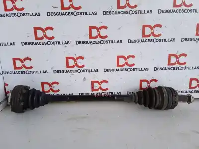 Pezzo di ricambio per auto di seconda mano trasmissione posteriore destra per bmw serie 3 berlina (e90) 318d riferimenti oem iam 7533446ai03  