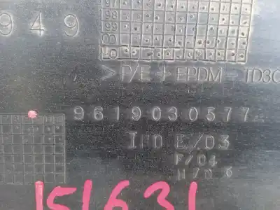 Peça sobressalente para automóvel em segunda mão Molduras Frontais por CITROEN BERLINGO 1.9 D Multispace Referências OEM IAM 9619030577  