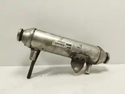 Piesă de schimb auto la mâna a doua rãcitor gaze egr pentru fiat stilo multi wagon (192_) 1.9 d multijet referințe oem iam 46810017  