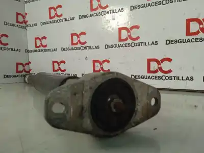 Peça sobressalente para automóvel em segunda mão amortecedor traseiro direito por ford focus berlina (cap) ghia referências oem iam   