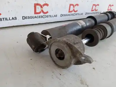 Pezzo di ricambio per auto di seconda mano set ammortizzatori posteriori per peugeot 307 break / sw (s1) sw pack riferimenti oem iam 5206cr  