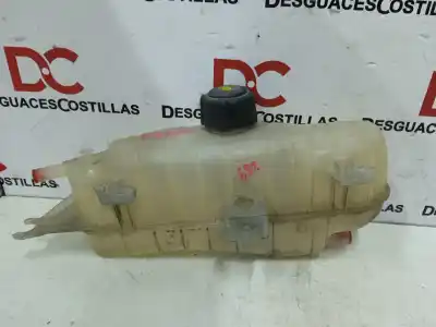 Автозапчастина б/у розширення депозит для RENAULT CLIO III 20 Aniversario Посилання на OEM IAM 7701477290  