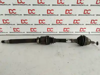 Peça sobressalente para automóvel em segunda mão transmissão dianteira direita por ford focus berlina (cap) ambiente (d) referências oem iam p30759676  