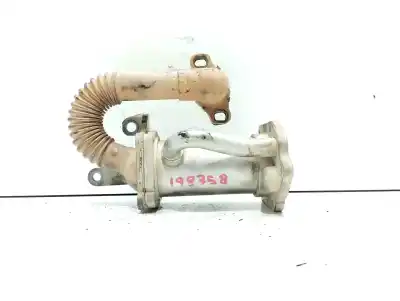 Pezzo di ricambio per auto di seconda mano raffreddatore egr per renault kangoo profesional riferimenti oem iam 8200729079  