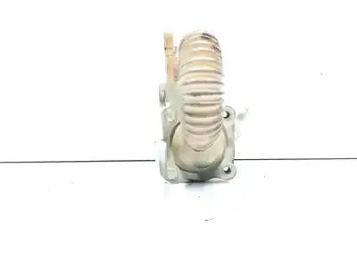 Pezzo di ricambio per auto di seconda mano raffreddatore egr per renault kangoo profesional riferimenti oem iam 8200729079  