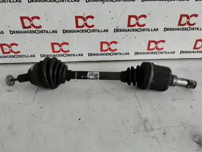 Pezzo di ricambio per auto di seconda mano  per FORD FOCUS SPORTBREAK (CAP)  Riferimenti OEM IAM 3M513B437DAF  