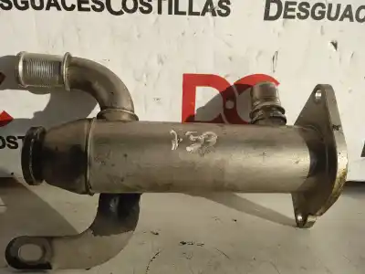 Tweedehands auto-onderdeel EGR-KOELER voor FORD FOCUS C-MAX (CAP)  OEM IAM-referenties 9645689780  