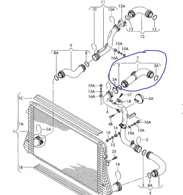 Peça sobressalente para automóvel em segunda mão  por SEAT LEON (1P1)  Referências OEM IAM 1K0145838C  