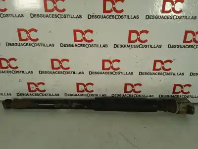 Peça sobressalente para automóvel em segunda mão amortecedor traseiro esquerdo por ford focus berlina (cap) ghia referências oem iam   