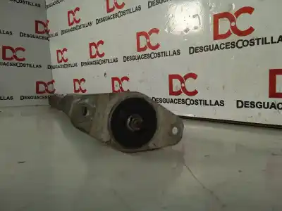 Peça sobressalente para automóvel em segunda mão amortecedor traseiro esquerdo por ford focus berlina (cap) ghia referências oem iam   