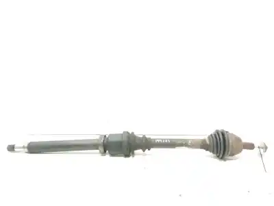 Peça sobressalente para automóvel em segunda mão TRANSMISSÃO DIANTEIRA DIREITA por FORD FOCUS BERLINA (CAP)  Referências OEM IAM 1726275 36000700 , 30681129 , 36000143 , 36000448 , 30681127 , 31256930 36001652, 30787783, 36001358, 30783002, 8603363, 36000557