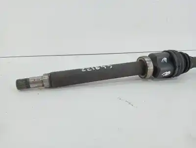 Peça sobressalente para automóvel em segunda mão transmissão dianteira direita por ford focus berlina (cap) ambiente (d) referências oem iam 3m513b436daf 1359656 , 1223723 , 1454202 , 1475130 , 1305938 , 1682436 , 1328279 1798102, 1326809, 1599050, 1798098, 1454211, 1493007, 1798097