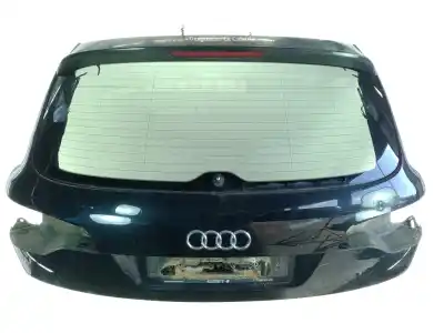 Автозапчастина б/у ЗАГАЛЬНІ ДВЕРІ для AUDI Q7 (4LB)  Посилання на OEM IAM   