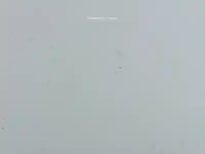 Second-hand car spare part driver left window regulator for bmw 1 (e87) 116 i oem iam references   