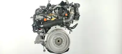 Peça sobressalente para automóvel em segunda mão motor completo por audi a4 b9 (8w2, 8wc) 2.0 tdi quattro referências oem iam det  