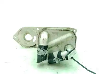 Pezzo di ricambio per auto di seconda mano RADIATORE OLIO MOTORE per FORD TRANSIT FURGÓN (TTG) 2.0 77kw RWD Riferimenti OEM IAM 2286811  