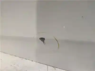 Автозапчастина б/у двері задні ліві для peugeot 508 ii (fb_, fh_, f3_) 1.5 bluehdi 130 (fbyhzj fbyhzr) посилання на oem iam   