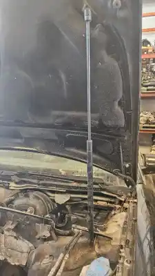 Gebrauchtes Autoersatzteil gasfeder zum audi a4 berlina (8e) 2.0 tdi 16v (103kw) oem-iam-referenzen 