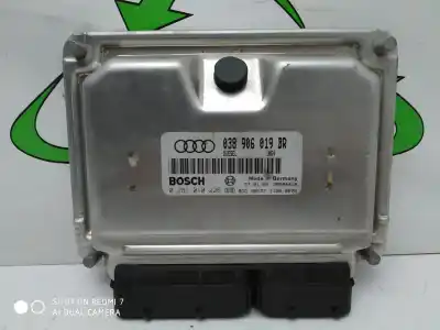 Peça sobressalente para automóvel em segunda mão  por AUDI A4 BERLINA (B5)  Referências OEM IAM 0281010226, 038906019BR  