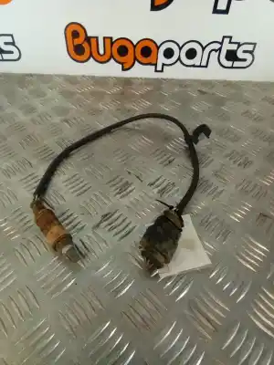 Peça sobressalente para automóvel em segunda mão sonda lambda por seat leon (1m1) 1.4 16v referências oem iam   