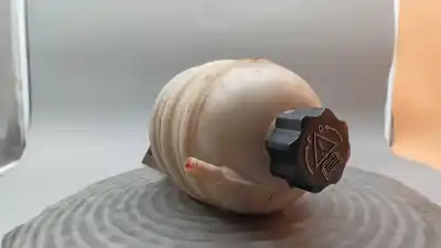 Pezzo di ricambio per auto di seconda mano Cauzione Di Espansione per PEUGEOT 206 HATCHBACK (2A/C) 1.1 Riferimenti OEM IAM 9626378480  