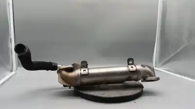 Pezzo di ricambio per auto di seconda mano Raffreddatore Egr per AUDI A4 B7 AVANT (8ED) 1.9 TDI Riferimenti OEM IAM 038131513S  