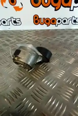 Peça sobressalente para automóvel em segunda mão Esticador De Correia por FORD FOCUS C-MAX (DM2) 1.6 TDCi Referências OEM IAM 308900  