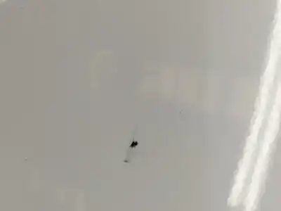 Peça sobressalente para automóvel em segunda mão guarda-lamas dianteiro direito por renault kangoo kangoo referências oem iam 7751691053  