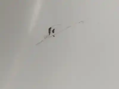 Peça sobressalente para automóvel em segunda mão guarda-lamas dianteiro esquerdo por renault kangoo kangoo referências oem iam 7751691052  